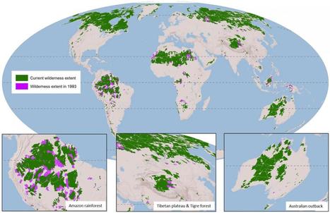 New maps show shrinking wilderness being ignored at our peril - Scienmag | Biodiversité | Scoop.it