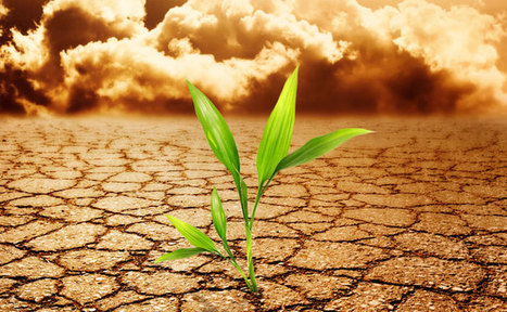 Meet The Climate Generation, Ready And Waiting For A New Green Deal | Learning Futures | Scoop.it