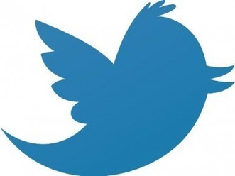 Twitter: jóvenes ayudan a escribir mejor en la red social | Edumorfosis.it | Scoop.it