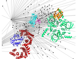3rd Paris-Saclay Junior Conference on Computational Biology - 13 novembre 2019 | Life Sciences Université Paris-Saclay | Scoop.it