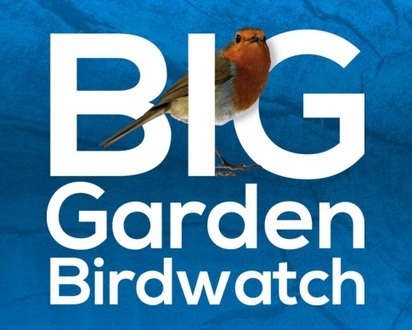 Big Garden Birdwatch - The RSPB | Biodiversité | Scoop.it
