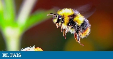 La naturaleza ya no puede mantener a los humanos | Ciencia | ¿Qué está pasando? | Scoop.it