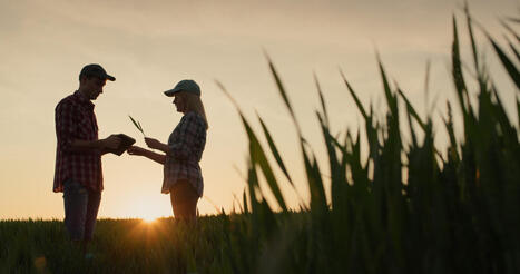 US: Agrifood weighs in on the regenerative agriculture executive order | AM&Eacute;RIQUES | Scoop.it