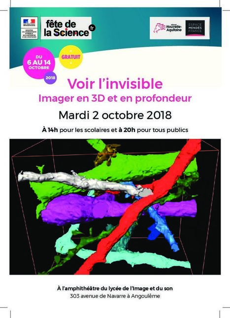 Fête de la Science 2018: Voir l’invisible, imager en 3D & en profondeur au LISA à Angoulême, mardi 2 Octobre 2018 | Espace Mendès France : culture & médiation scientifiques | Espace Mendes France | Scoop.it