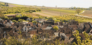 2020, la revanche des territoires ruraux? | Une semaine d'actu - Newsletter de veille de l'AURH | Scoop.it