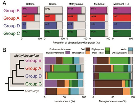 Led astray by 16S rRNA: phylogenomics reaffirms...