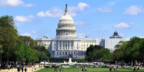 Report: Apple enlisted lobbyist for Uyghur Forced Labor Prevention Act | Sustainable Procurement & CSR News - ICT Industry | Scoop.it