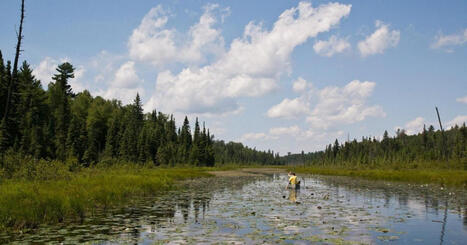 Trump lifts ban on mining near Boundary Waters, clearing way for Chilean company to seek permits | Coastal Restoration | Scoop.it