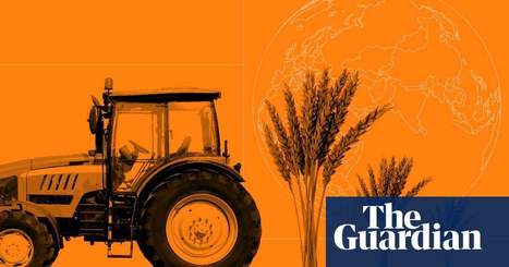 How to feed the world - without killing everything | News | The Guardian | GTAV AC:G Y9 - Biomes and food security | Scoop.it