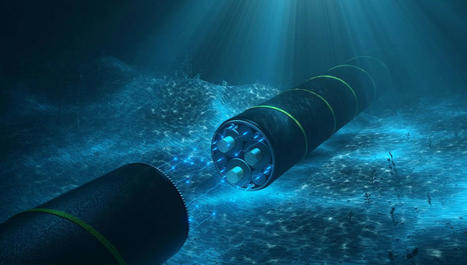 Sous-marins, câbles, ressources minières : les océans, nouvel espace de colonisation technologique ? | Biodiversité : les chiffres-clés | Scoop.it