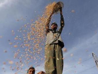 India's wheat imports rise above 5 million tonne, biggest in decade | ASIES | Scoop.it