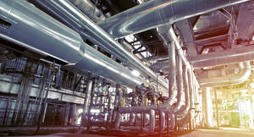 Gironde : la soci&eacute;t&eacute; OliKrom en lice pour la finale des Troph&eacute;es de l'Inpi 2024 | Entreprises &agrave; Bordeaux et en Gironde | Scoop.it