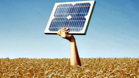 Smaltimento dei pannelli fotovoltaici: una piccola guida | Energie Rinnovabili in Italia: Presente e Futuro nello Sviluppo Sostenibile | Scoop.it