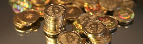 Infographie : 50 choses à savoir sur le Bitcoin | Libertés Numériques | Scoop.it