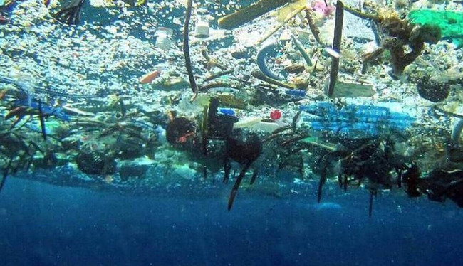 Les microbes mangeurs de plastique sont-ils vraiment la solution miracle pour dépolluer les océans ?