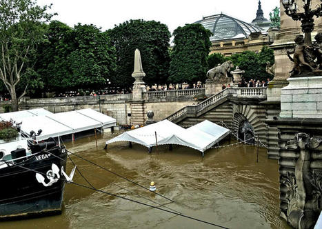 Prévention des inondations : le Papi de la Seine et de la Marne franciliennes résiste à l'épreuve du feu | Environnement et technique | Scoop.it