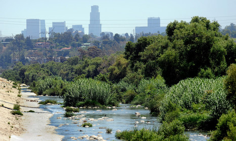Popular recreation spots along the L.A. River have poor water quality, report says | Coastal Restoration | Scoop.it