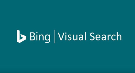 Bing améliore la recherche visuelle grâce à la détection d’objets dans l’image | L'actualité logicielles et informatique en vrac | Scoop.it