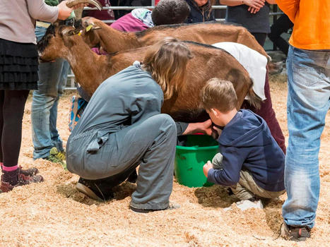 Lurrama, le salon de l’agriculture paysanne et durable du Pays Basque - Actu Pays Basque | Pour innover en agriculture | Scoop.it