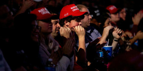 'That stuff lands': GOP strategist shares key message resonating with Trump fans - Raw Story | Backstabber Watch | Scoop.it