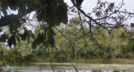 Nature et patrimoine au bord de l'Ariège | Lacroix-Falgarde | Scoop.it