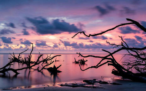 7 Secret Florida Beaches in Florida | Best Amazon Collections | Scoop.it