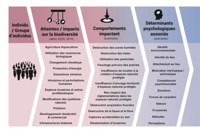 La psychologie de la conservation de la biodiversit&eacute;&nbsp;: le maillon faible dans les strat&eacute;gies et les interventions des acteurs des territoires&nbsp;? VertigO | Biodiversit&eacute; | Scoop.it