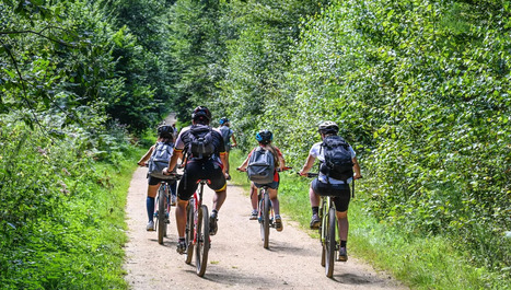 La nouvelle maison des Sports et loisirs de nature de La Petite Pierre&nbsp; | Nouveaut&eacute;s - Offre touristique Alsace | Scoop.it