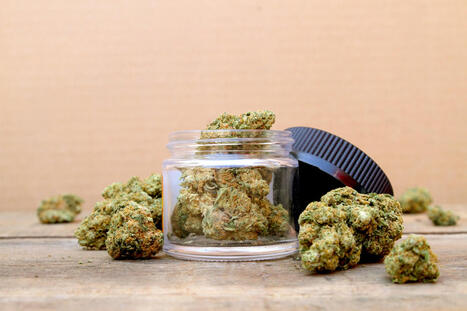 Legal Cannabis and Workplace Drug Policies in NY and NJ | Legal & Law | Scoop.it