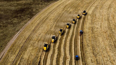 CZECH REPUBLIC: Agriculture faces nearly $1B revenue loss this year due to heat, drought | EUROPES | Scoop.it