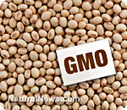 Top 10 GMO Foods to Avoid | Longevity science | Scoop.it