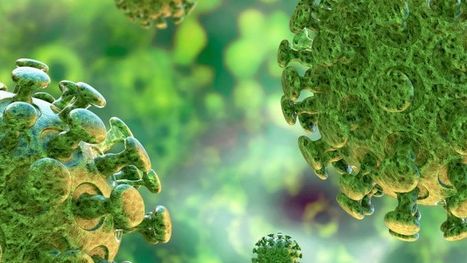 COVID-19 Vaccine-Maker Hit with Cyberattack, Data Breach | #CyberSecurity #DataBreaches #CoronaVirus #COVID19 | ICT Security-Sécurité PC et Internet | Scoop.it
