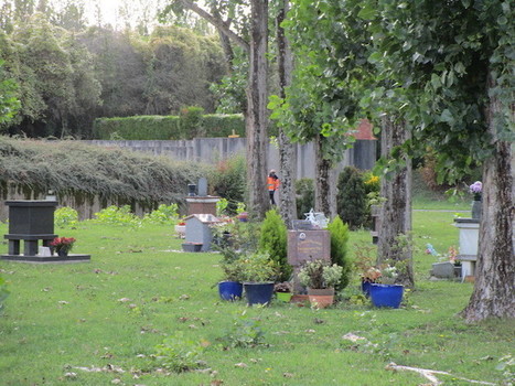 Mort, on pollue encore | Les Colocs du jardin | Scoop.it