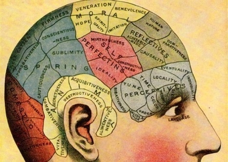 Phrenology and 'Brain Mapping' as Historical References | information analyst | Scoop.it