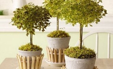 Porta macetas con pinzas de madera - Las Manualidades | A bit of everything | Scoop.it