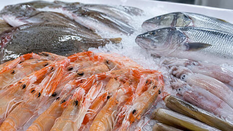 Seafood consumption in EUROPE is changing | CIHEAM Press Review | Scoop.it