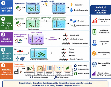 Electroactive Microbiomes: Electron Transfer Mechanisms and Environmental Biotechnology Applications | emb | RMH | Scoop.it
