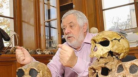 Le Figaro - Sciences et Technologies : «Ce nouvel australopithèque est un para-Homo» | Aux origines | Scoop.it