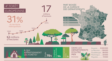 La forêt française - Ministère de l'Agriculture et de l'Alimentation | Biodiversité | Scoop.it