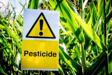 Exposition aux pesticides : le cancer de la prostate enfin reconnu comme maladie professionnelle des agriculteurs | Le Quotidien du Médecin | Prévention du risque chimique | Scoop.it