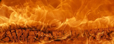Glutamine et les maladies inflammatoires - L'Alimentation Santé | La Sagesse de la Nature | Scoop.it