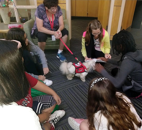 Creating a Therapy Dog Program -School Library Journal | Professional Learning for Busy Educators | Scoop.it