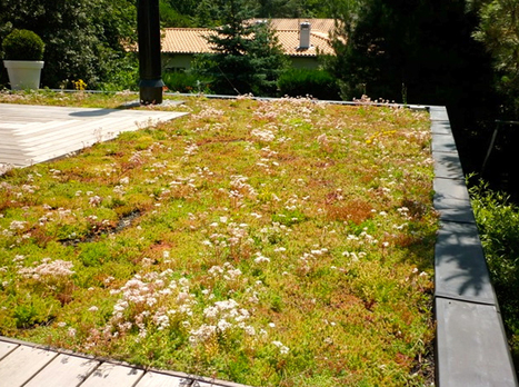 Je veux une toiture végétale ! | Build Green, pour un habitat écologique | Scoop.it