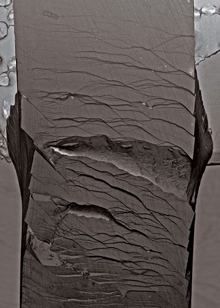 Glass that's Stronger than Steel - Technology Review | Science News | Scoop.it