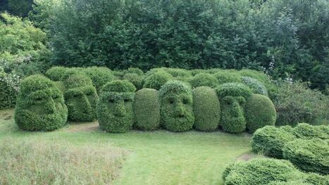 Dans le Pas-de-Calais, un fascinant jardin consacré à la guerre et à la paix | Autour du Centenaire 14-18 | Scoop.it