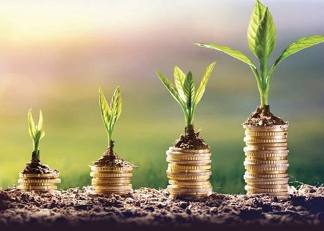 Environmental, Social, and Governance (ESG) Investing: A Balanced Analysis of the Theory and Practice of a Sustainable Portfolio. J.Hill | Italian Social Marketing Association -   Newsletter 216 | Scoop.it