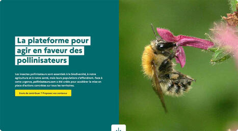 Pollinisateurs.com : La plateforme pour agir en faveur des pollinisateurs | HORTICULTURE | Scoop.it