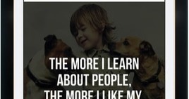 Some Excellent Apps to Create Classroom Quote Pictures via Educators' technology | iGeneration - Humane Use of Technology in an AI world (Pedagogy & Digital Innovation) | Scoop.it