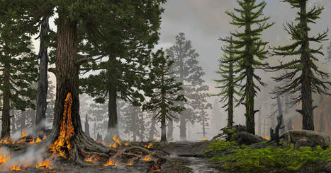 Rampant wildfires once led to global mass extinction, scientists say. Can it happen again? - LAtimes.com | Operation Deimos | Scoop.it