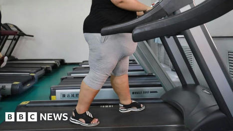 Half of world on track to be overweight by 2035 | Anthropometry and Kinanthropometry | Scoop.it